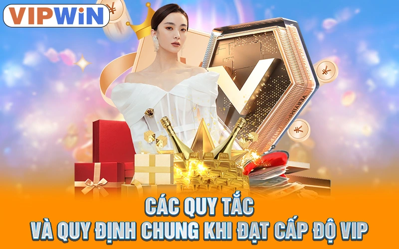 Các quy tắc và quy định chung khi đạt cấp độ VIP