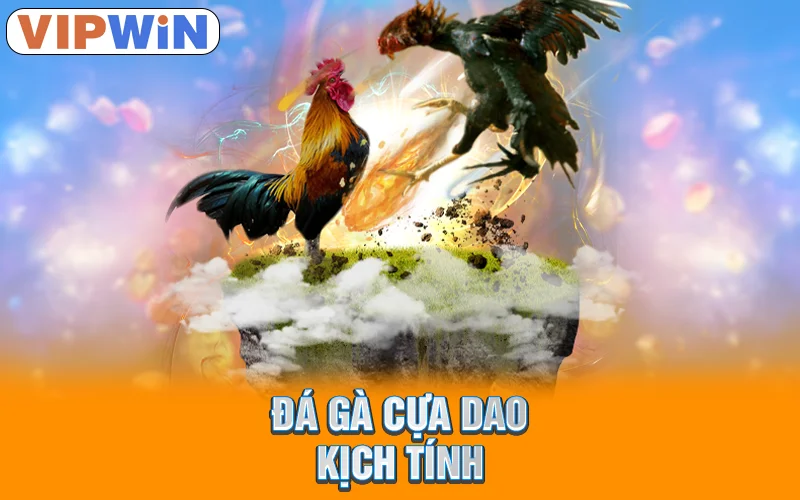 Đá gà cựa dao kịch tính