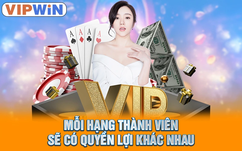 Mỗi hạng thành viên sẽ có quyền lợi khác nhau