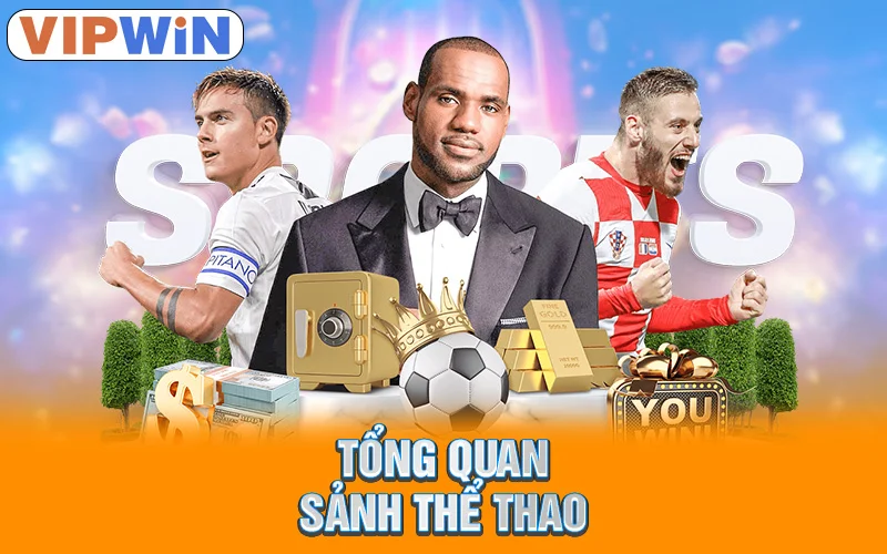 Tổng quan sảnh thể thao