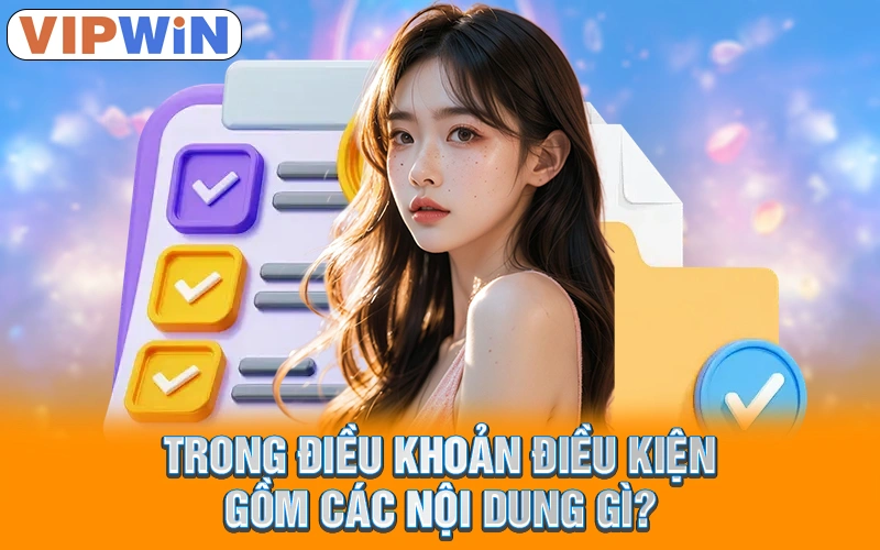 Trong điều khoản điều kiện gồm các nội dung gì?
