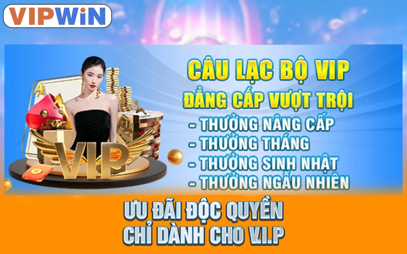 Ưu đãi độc quyền chỉ dành cho V.I.P